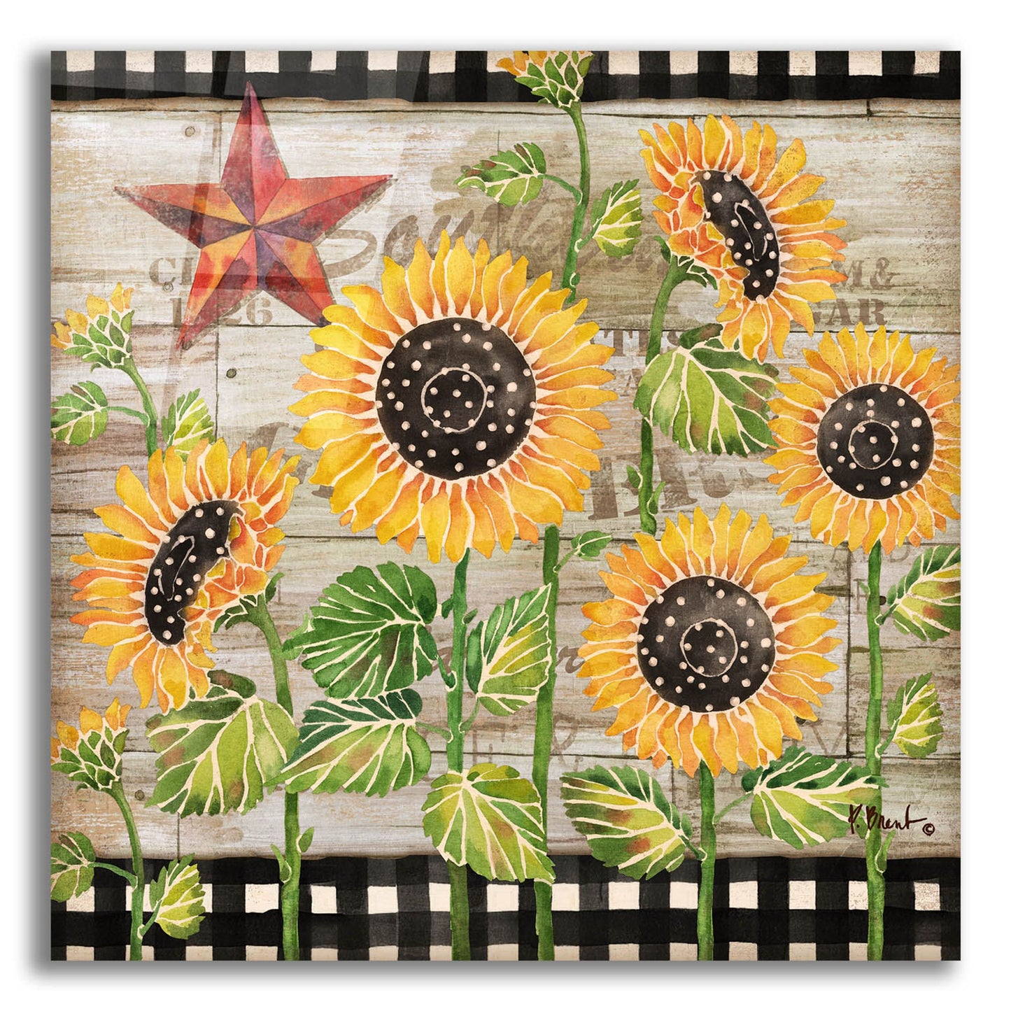 Epic Art 'Farmhouse Sunflowers' by Paul Brent, Acrylic Glass Wall Art