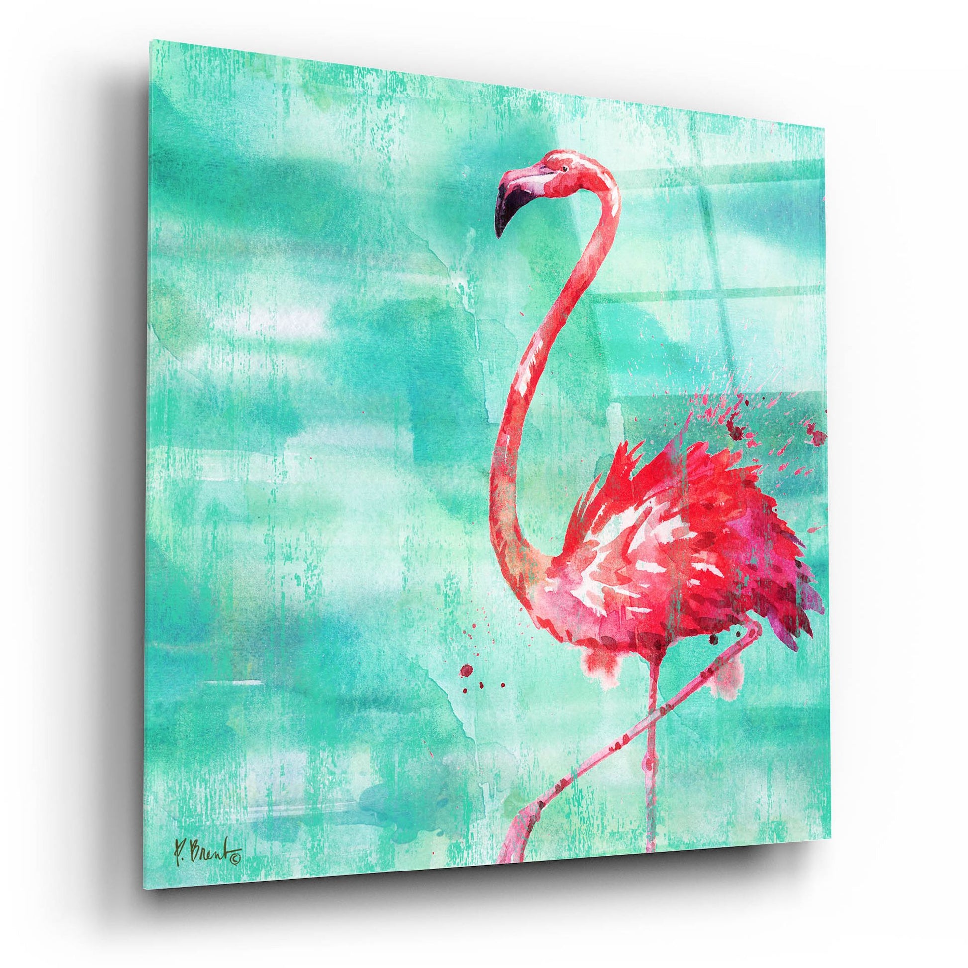 Epic Art 'Arianna Flamingo II - Turquoise' by Paul Brent, Acrylic Glass Wall Art,12x12