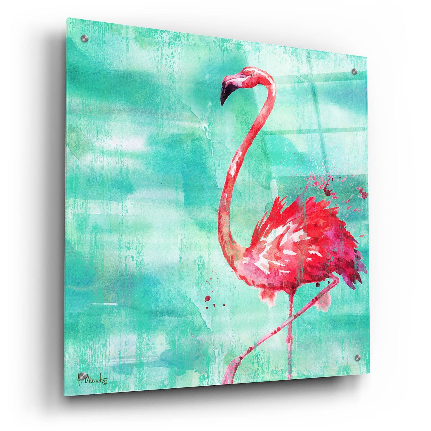 Epic Art 'Arianna Flamingo II - Turquoise' by Paul Brent, Acrylic Glass Wall Art,24x24