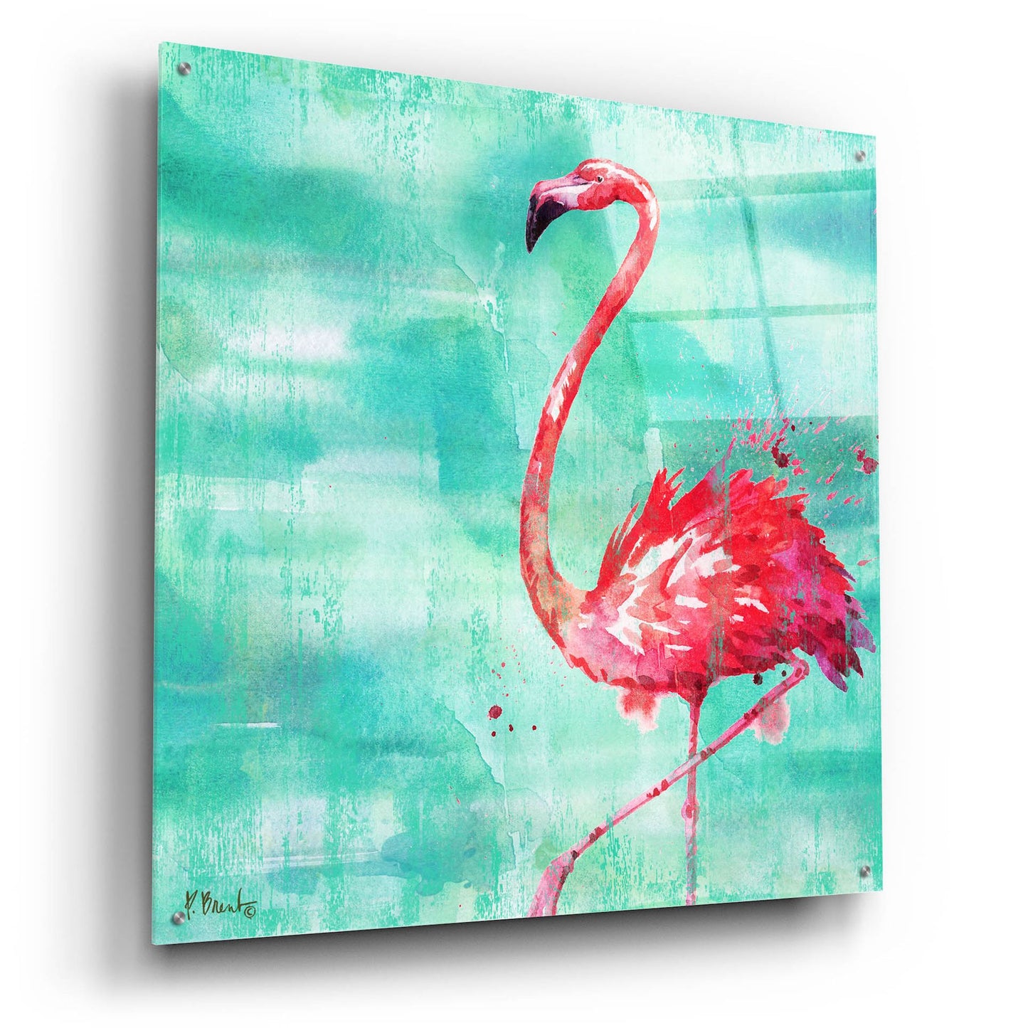 Epic Art 'Arianna Flamingo II - Turquoise' by Paul Brent, Acrylic Glass Wall Art,36x36