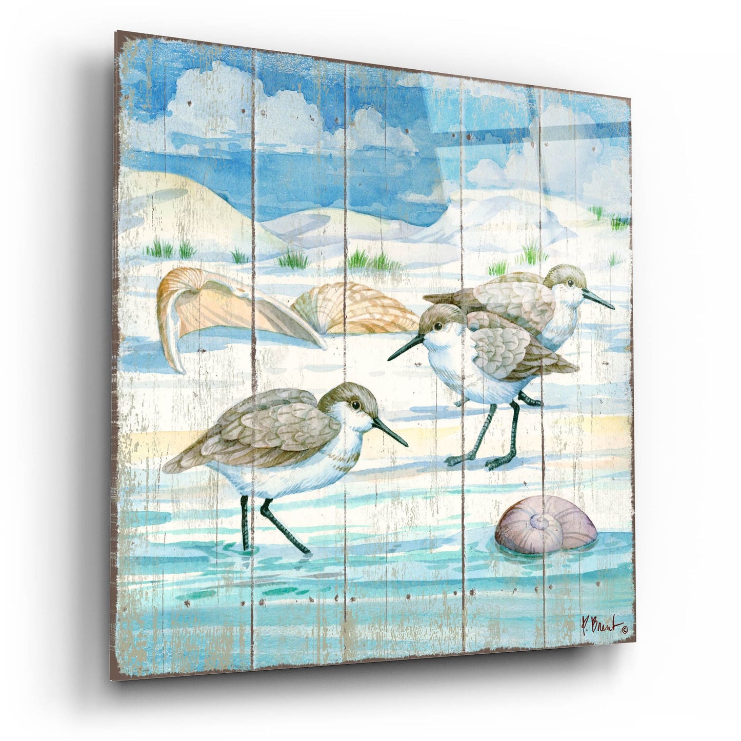 Epic Art 'Shoreline Sandpipers I' by Paul Brent, Acrylic Glass Wall Art,12x12