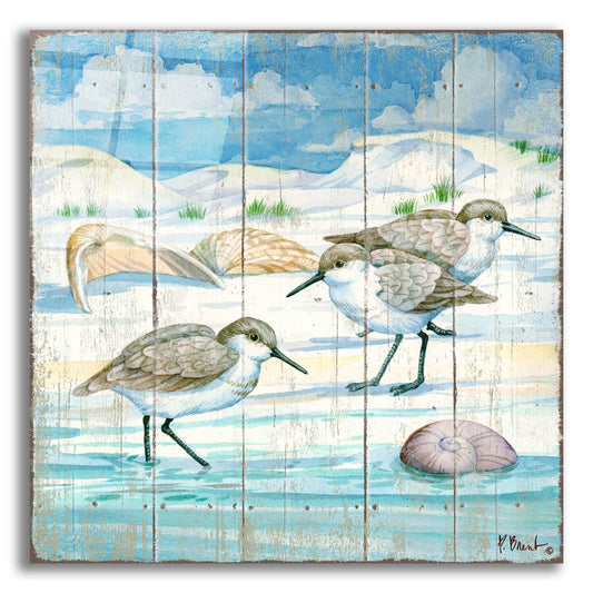 Epic Art 'Shoreline Sandpipers I' by Paul Brent, Acrylic Glass Wall Art
