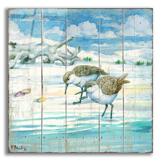 Epic Art 'Shoreline Sandpipers II' by Paul Brent, Acrylic Glass Wall Art