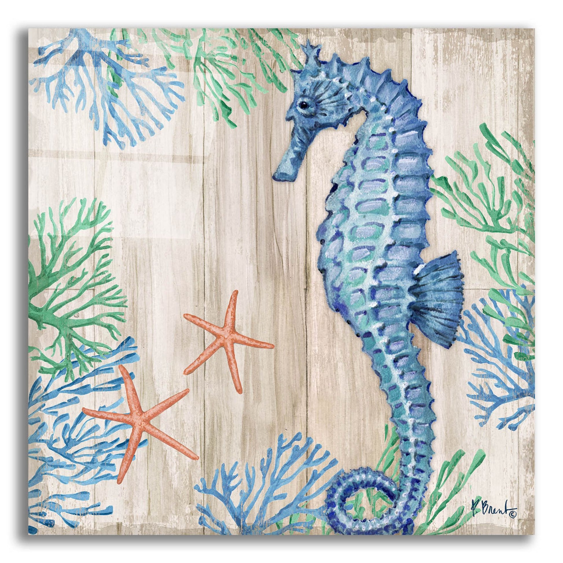 Epic Art 'Clearwater Sealife II - Tan' by Paul Brent, Acrylic Glass Wall Art