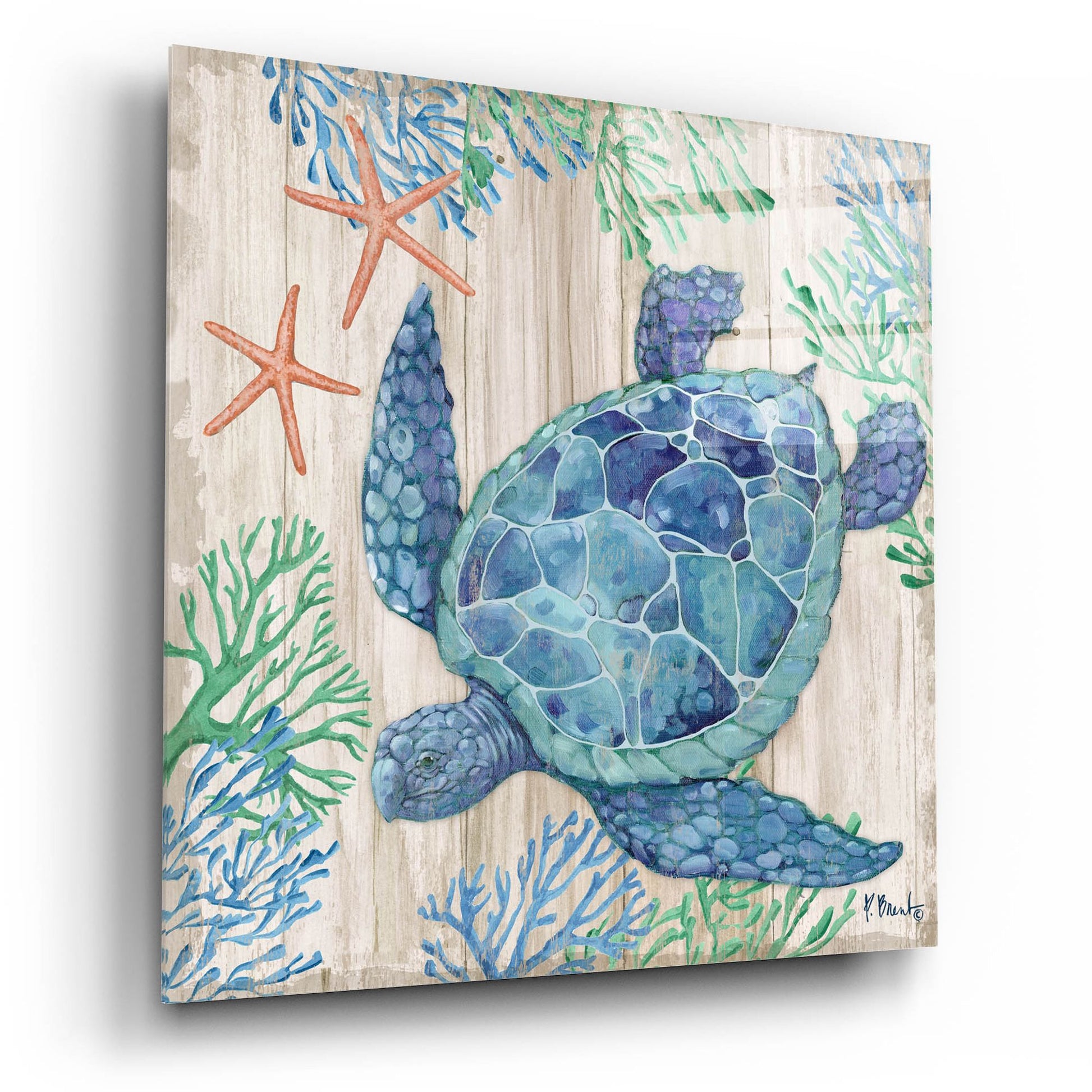 Epic Art 'Clearwater Sealife V - Tan' by Paul Brent, Acrylic Glass Wall Art,12x12