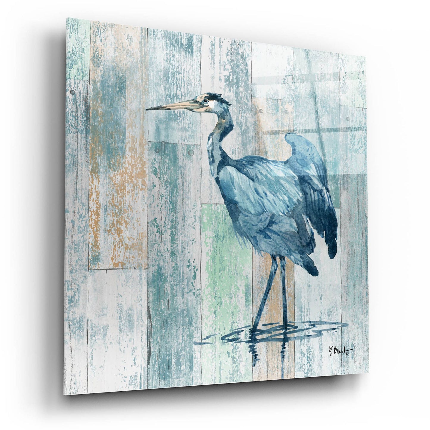 Epic Art 'Arianna Blue Heron - Wood' by Paul Brent, Acrylic Glass Wall Art,12x12