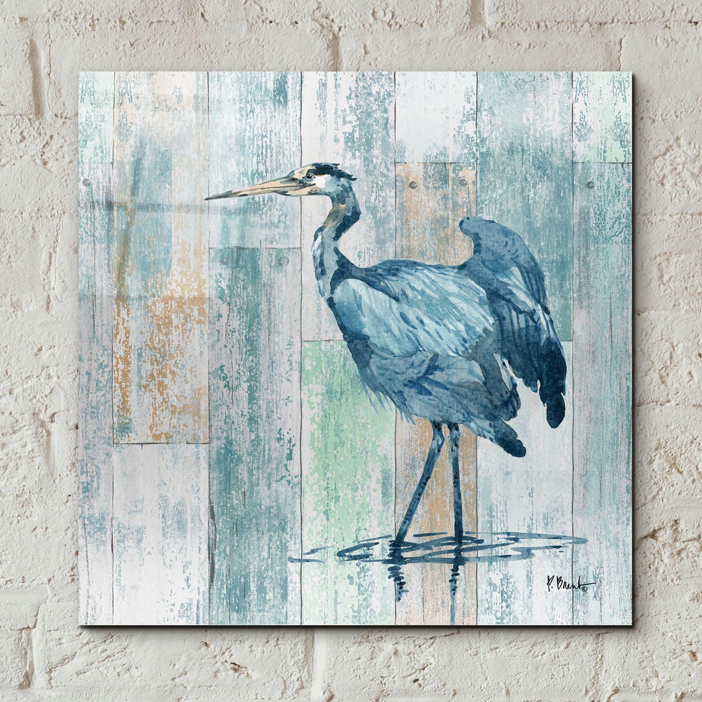 Epic Art 'Arianna Blue Heron - Wood' by Paul Brent, Acrylic Glass Wall Art,12x12