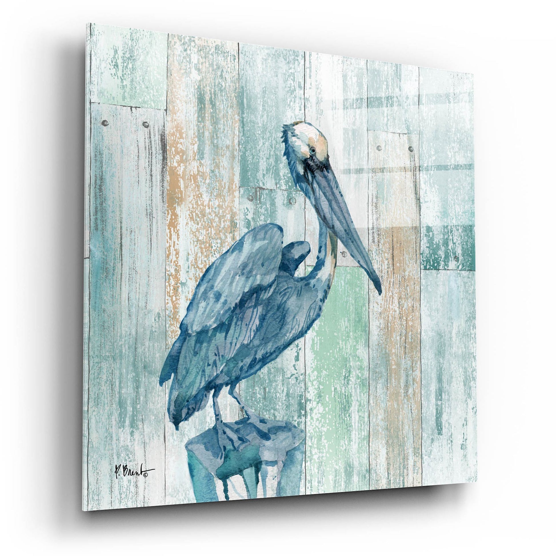 Epic Art 'Arianna Pelican - Wood' by Paul Brent, Acrylic Glass Wall Art,12x12