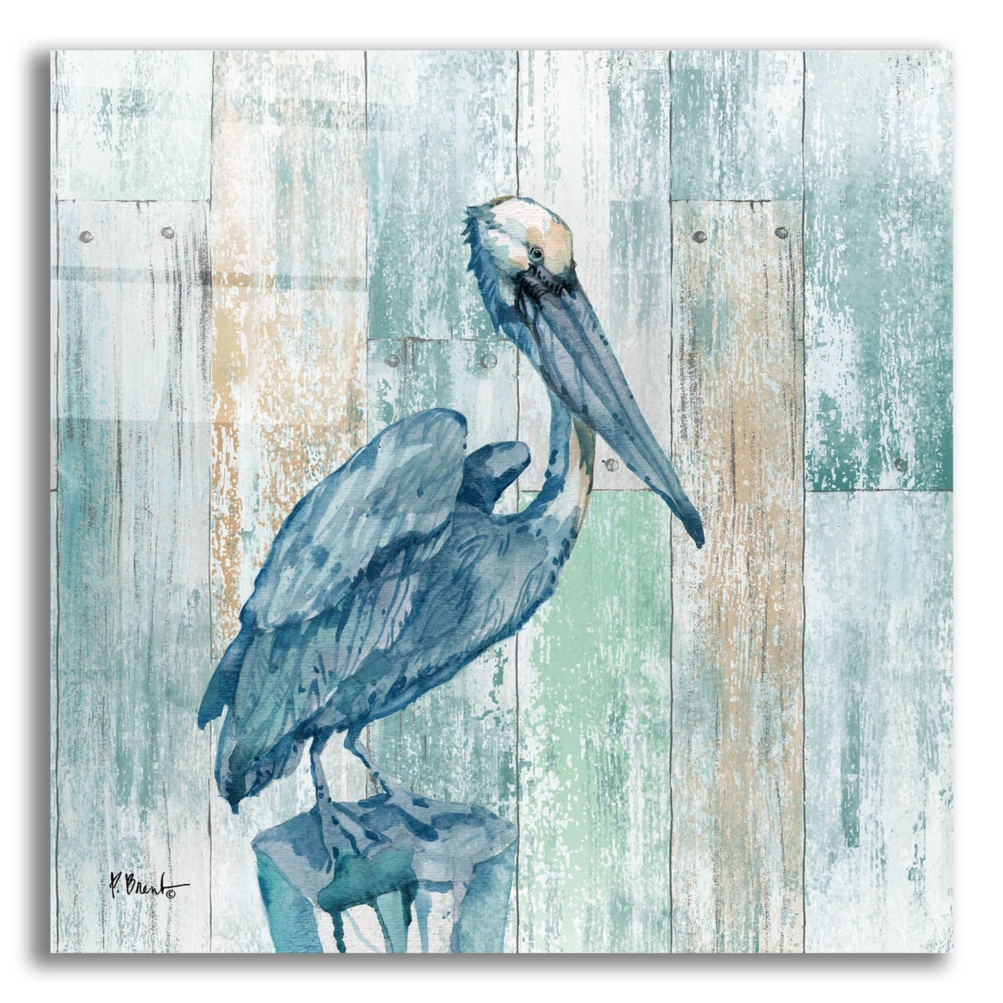 Epic Art 'Arianna Pelican - Wood' by Paul Brent, Acrylic Glass Wall Art