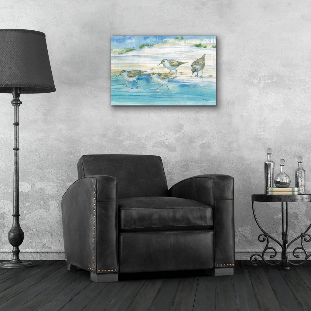 Epic Art 'Sandy Sandpipers II' by Paul Brent, Acrylic Glass Wall Art,24x16