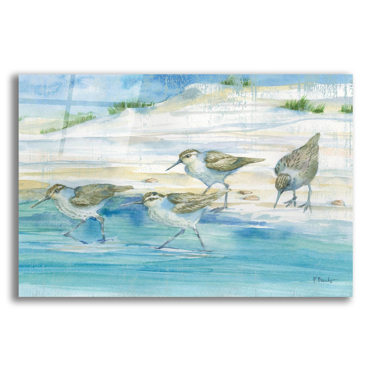 Epic Art 'Sandy Sandpipers II' by Paul Brent, Acrylic Glass Wall Art