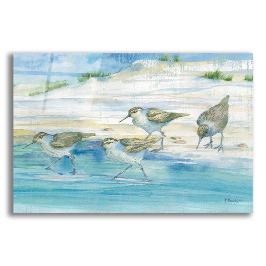 Epic Art 'Sandy Sandpipers II' by Paul Brent, Acrylic Glass Wall Art