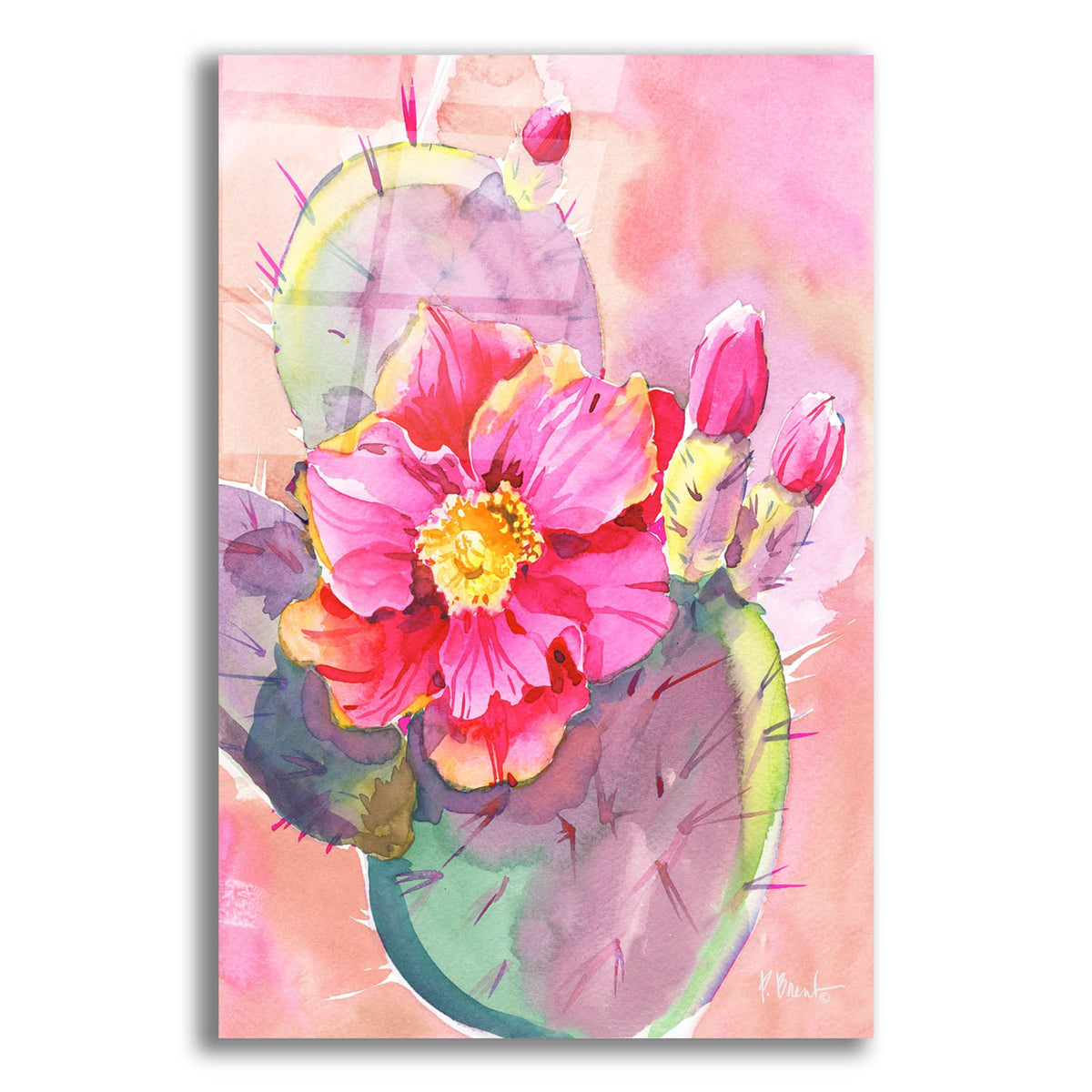 Epic Art 'Cactus Bloom I' by Paul Brent, Acrylic Glass Wall Art