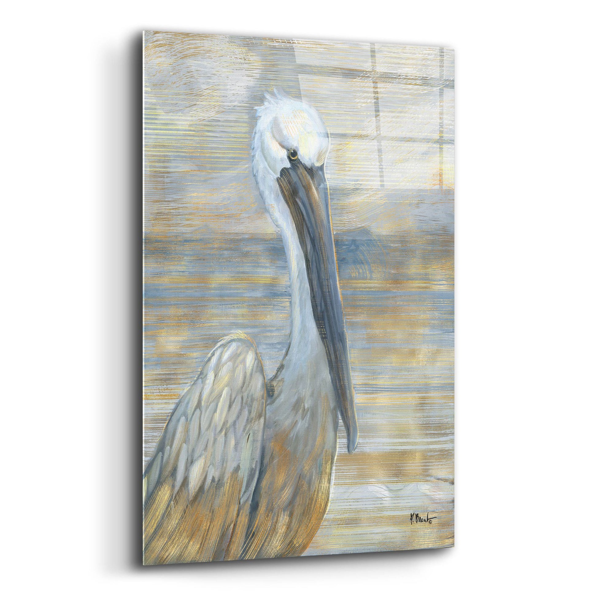 Epic Art 'Golden Salty Pelican' by Paul Brent, Acrylic Glass Wall Art,12x16