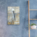 Epic Art 'Golden Salty Pelican' by Paul Brent, Acrylic Glass Wall Art,16x24