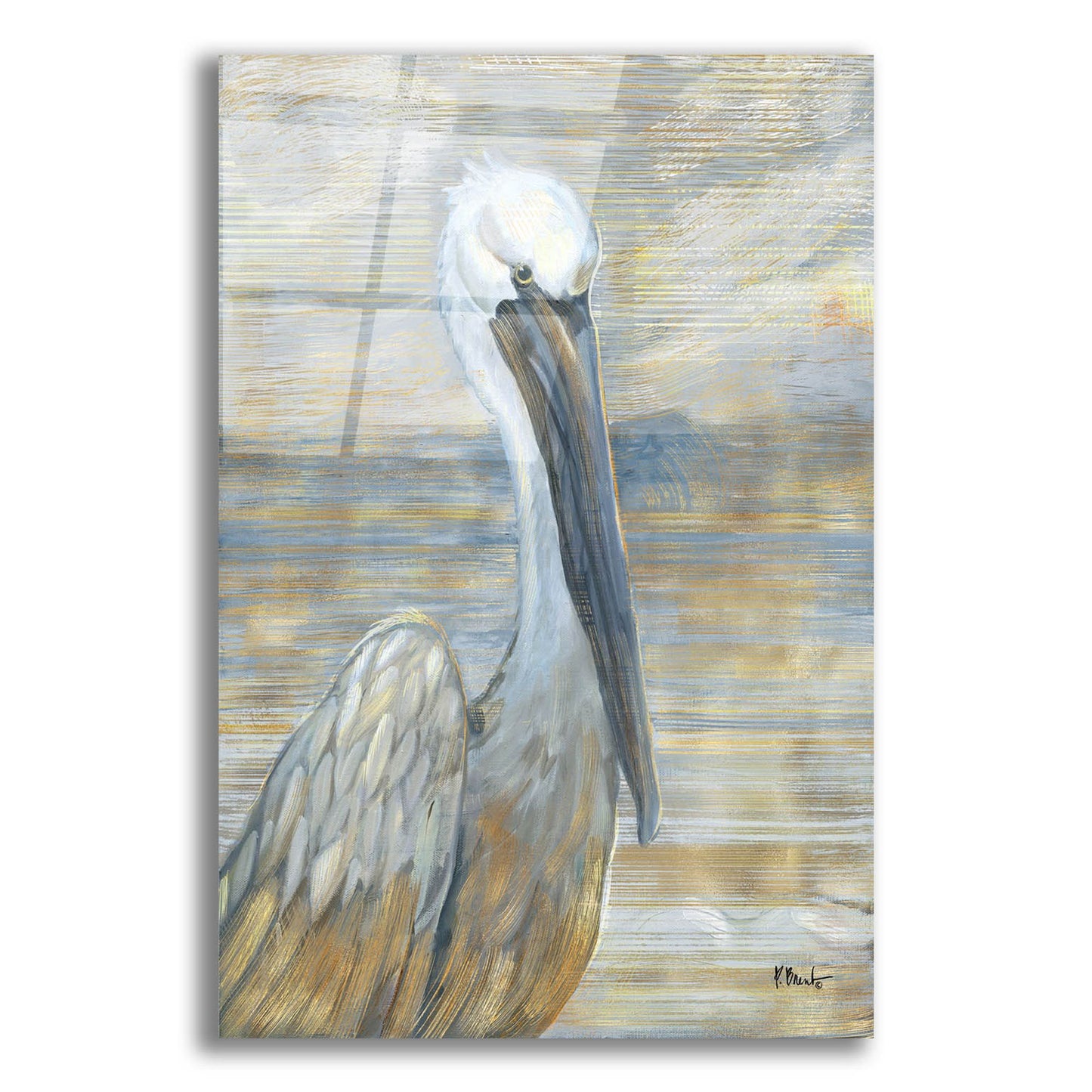 Epic Art 'Golden Salty Pelican' by Paul Brent, Acrylic Glass Wall Art