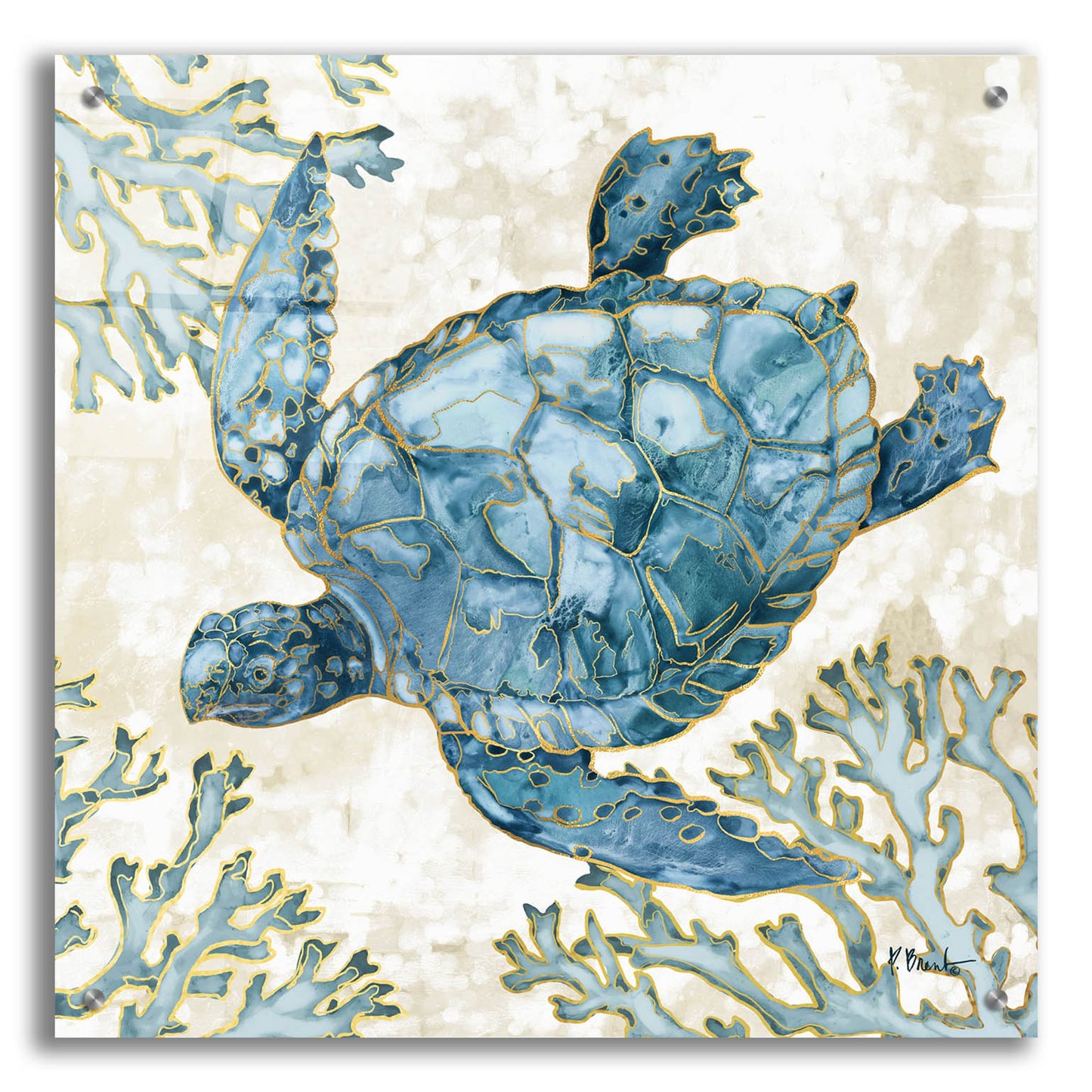 Epic Art 'Playa Sealife II' by Paul Brent, Acrylic Glass Wall Art