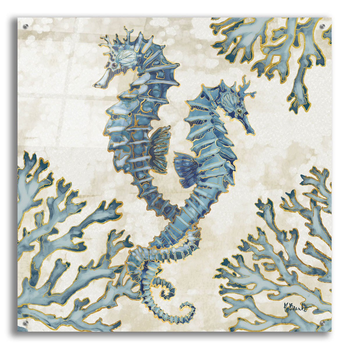 Epic Art 'Playa Sealife IV' by Paul Brent, Acrylic Glass Wall Art