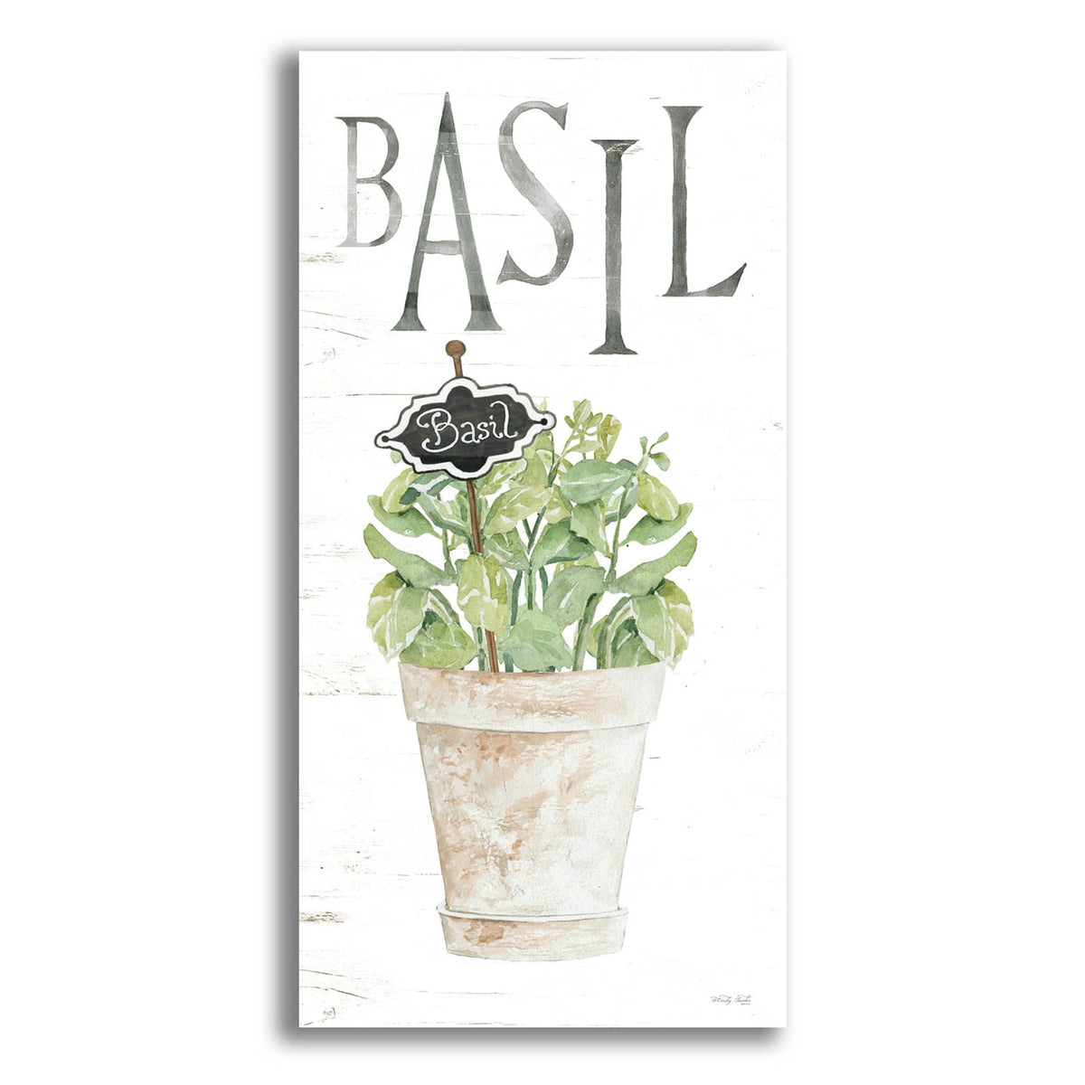 Epic Art 'Basil' by Cindy Jacobs, Acrylic Glass Wall Art