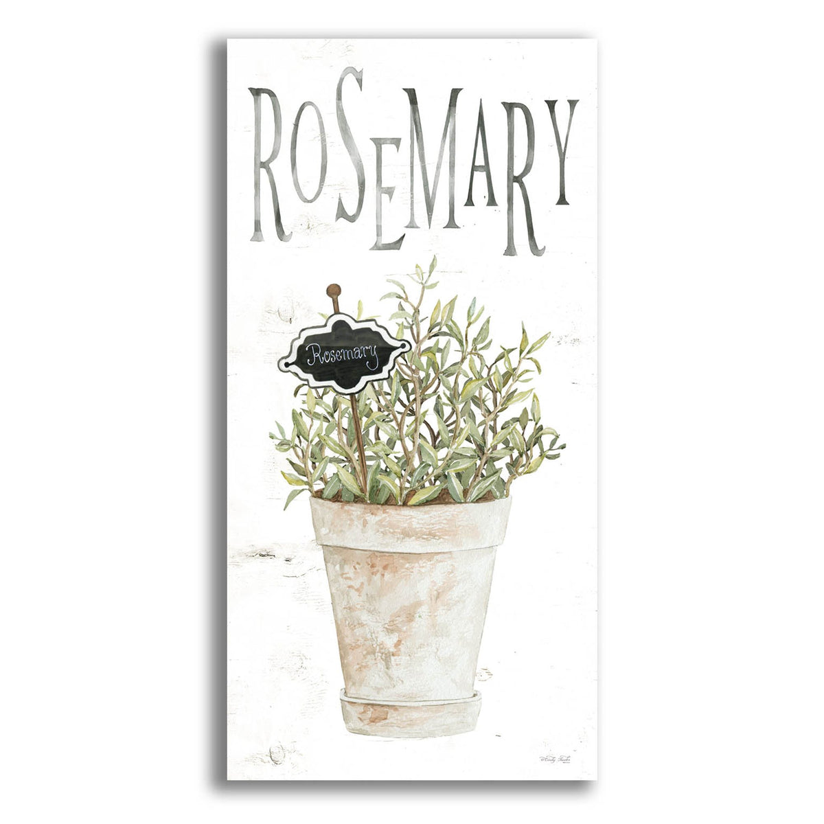 Epic Art 'Rosemary' by Cindy Jacobs, Acrylic Glass Wall Art