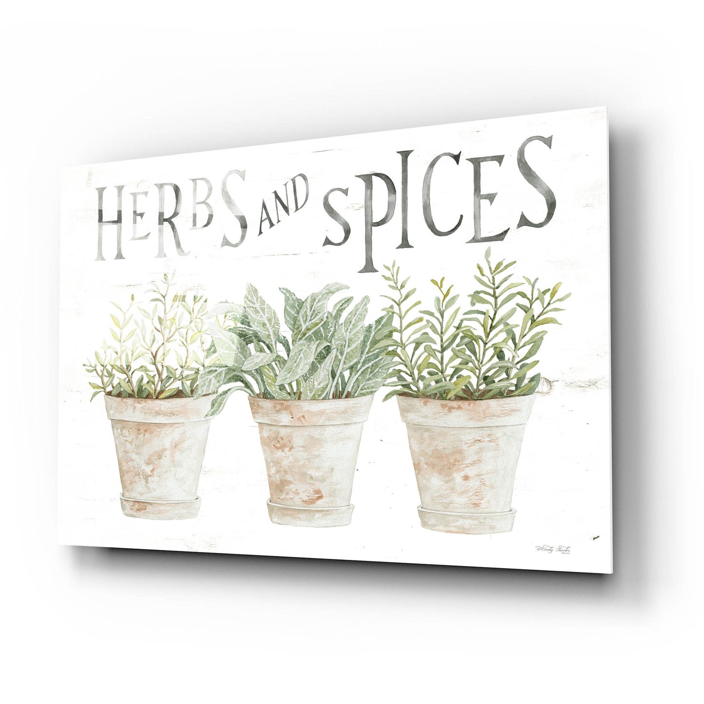 Epic Art 'Herbs and Spices' by Cindy Jacobs, Acrylic Glass Wall Art,24x16