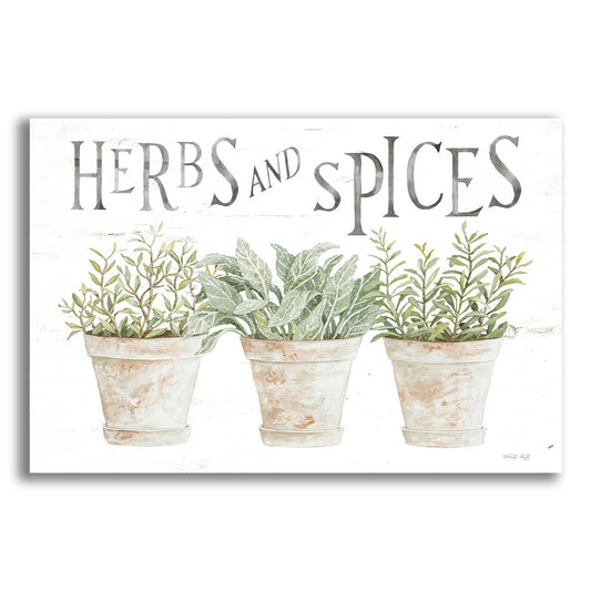 Epic Art 'Herbs and Spices' by Cindy Jacobs, Acrylic Glass Wall Art
