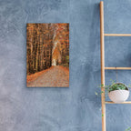 Epic Art 'Golden Boughs I  ' by Lori Deiter, Acrylic Glass Wall Art,16x24