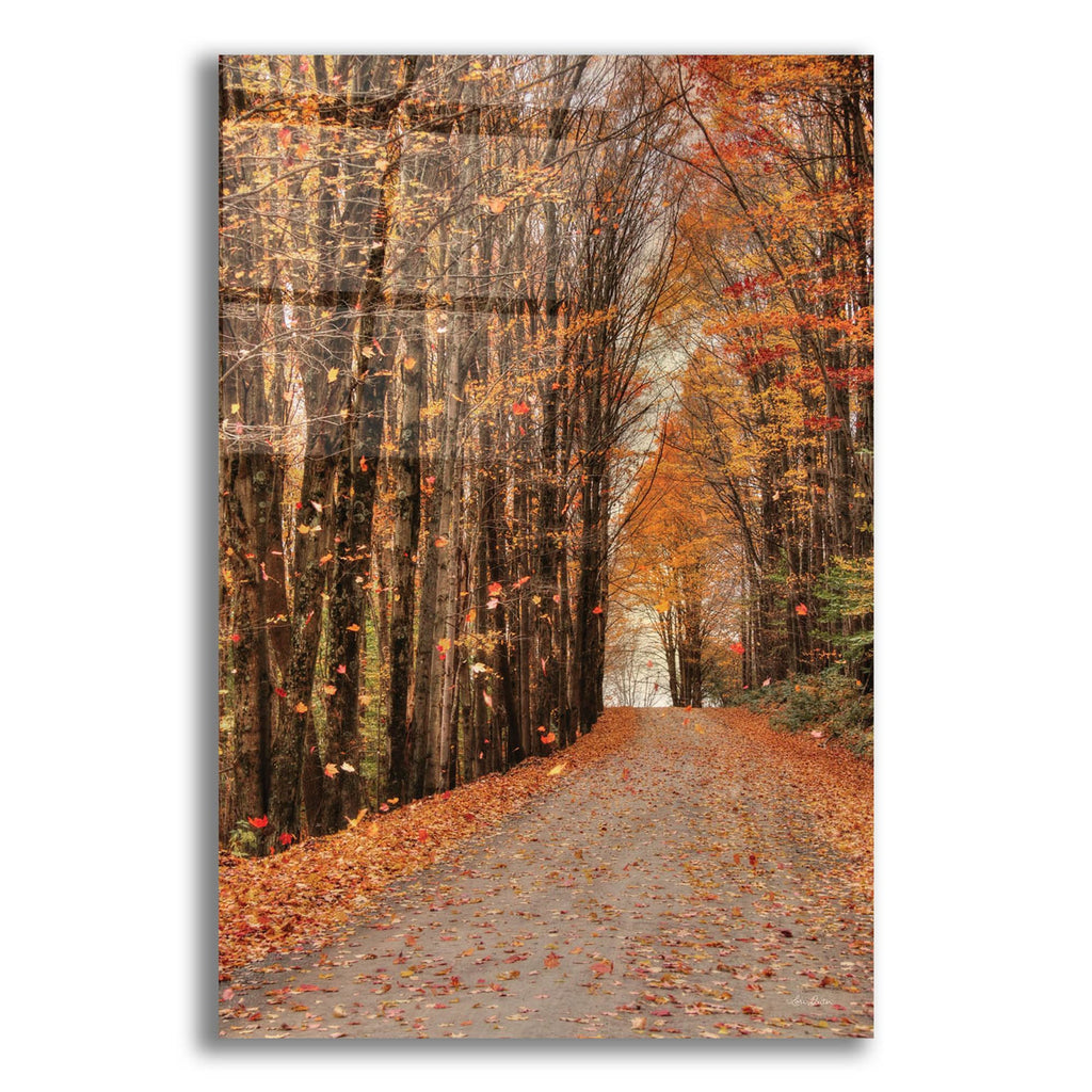 Epic Art 'Golden Boughs I  ' by Lori Deiter, Acrylic Glass Wall Art