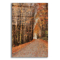 Epic Art 'Golden Boughs I  ' by Lori Deiter, Acrylic Glass Wall Art