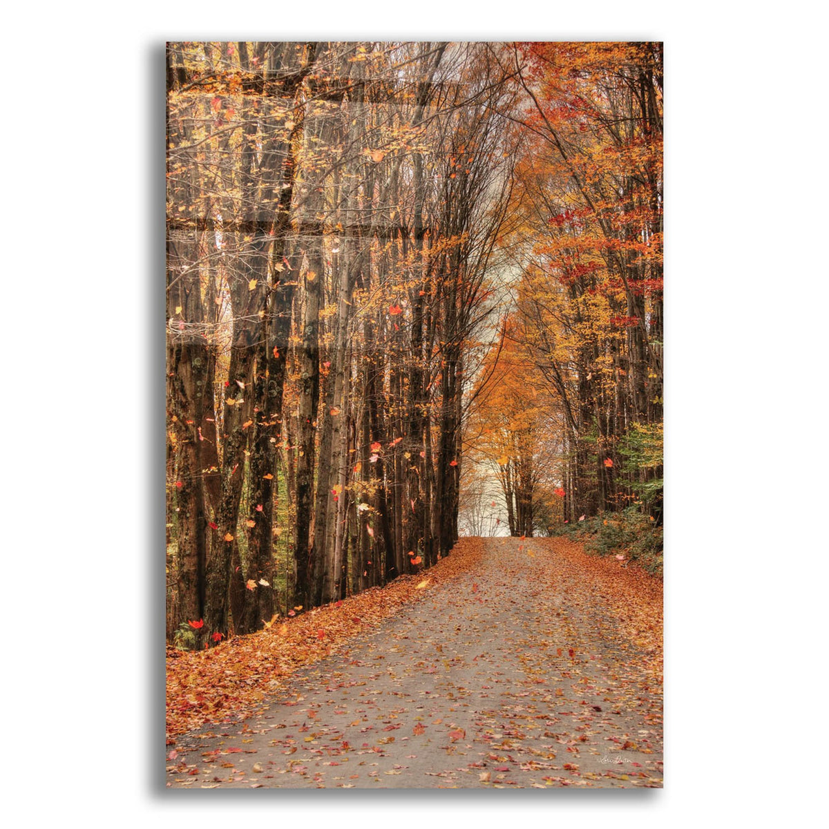 Epic Art 'Golden Boughs I  ' by Lori Deiter, Acrylic Glass Wall Art