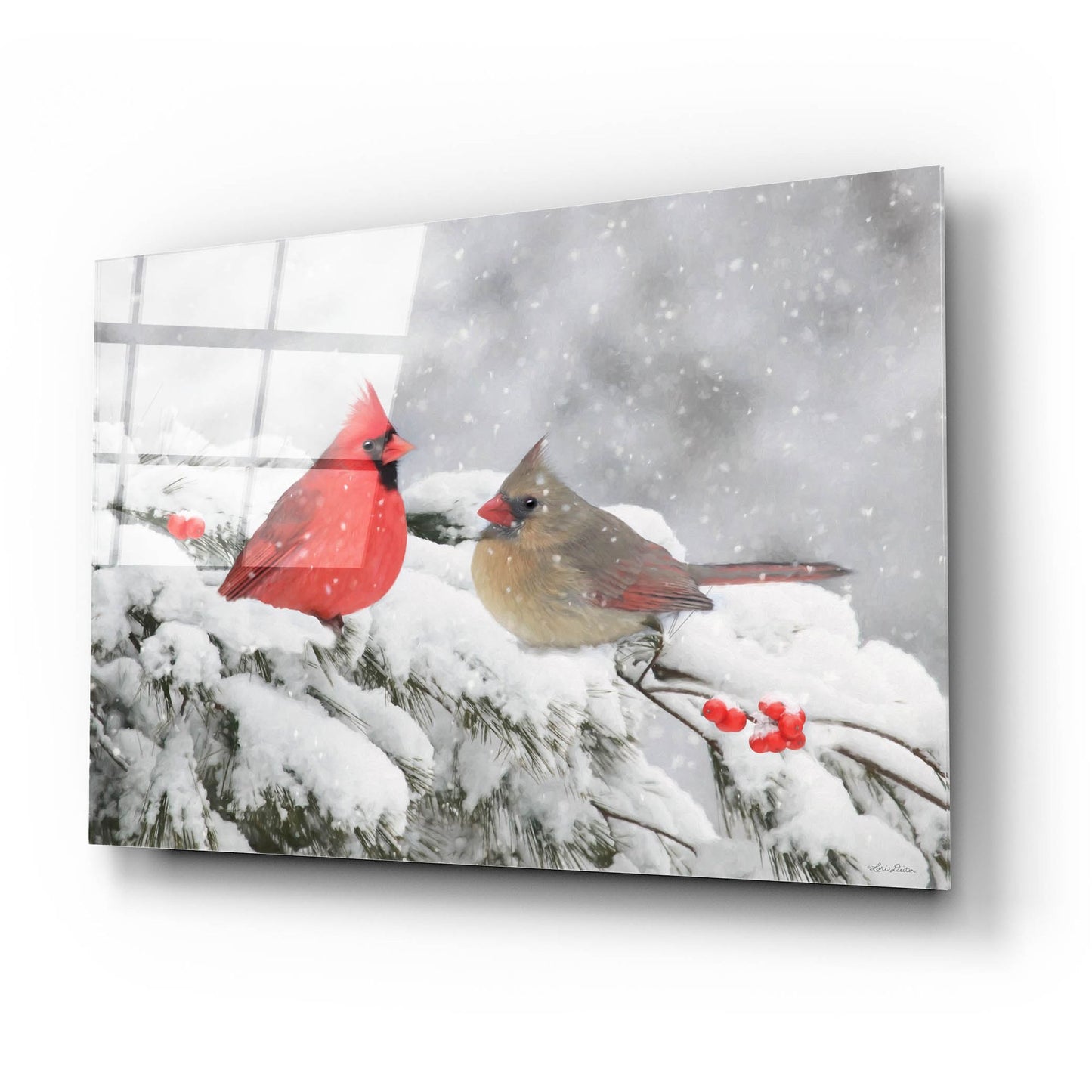 Epic Art 'Cardinals in Snow' by Lori Deiter, Acrylic Glass Wall Art,24x16