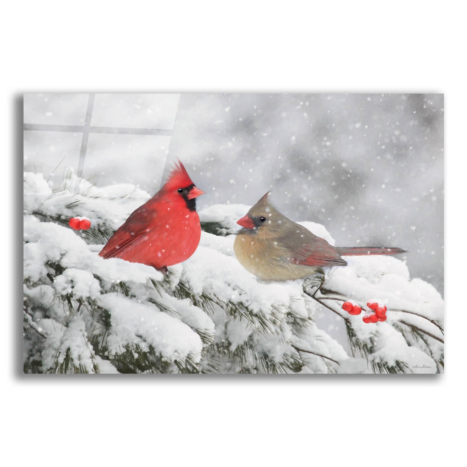 Epic Art 'Cardinals in Snow' by Lori Deiter, Acrylic Glass Wall Art,24x16