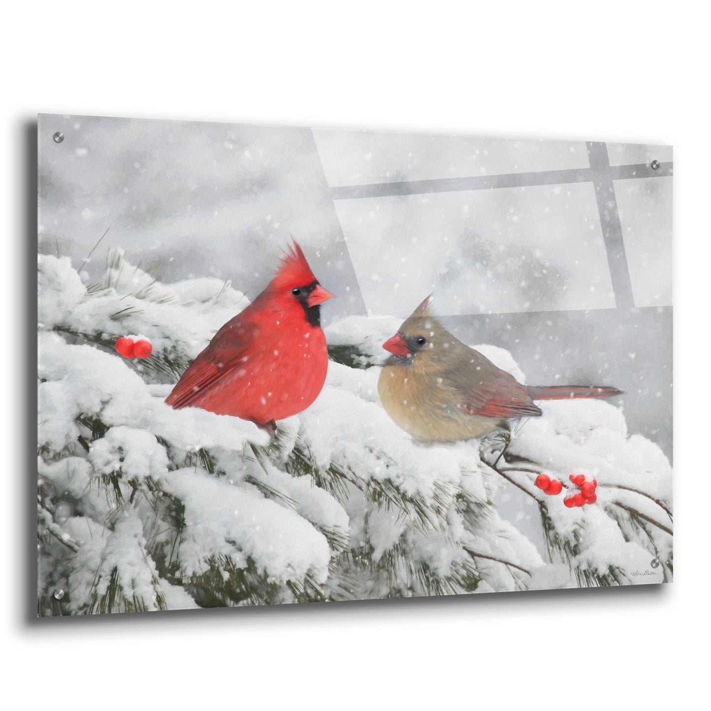 Epic Art 'Cardinals in Snow' by Lori Deiter, Acrylic Glass Wall Art,36x24