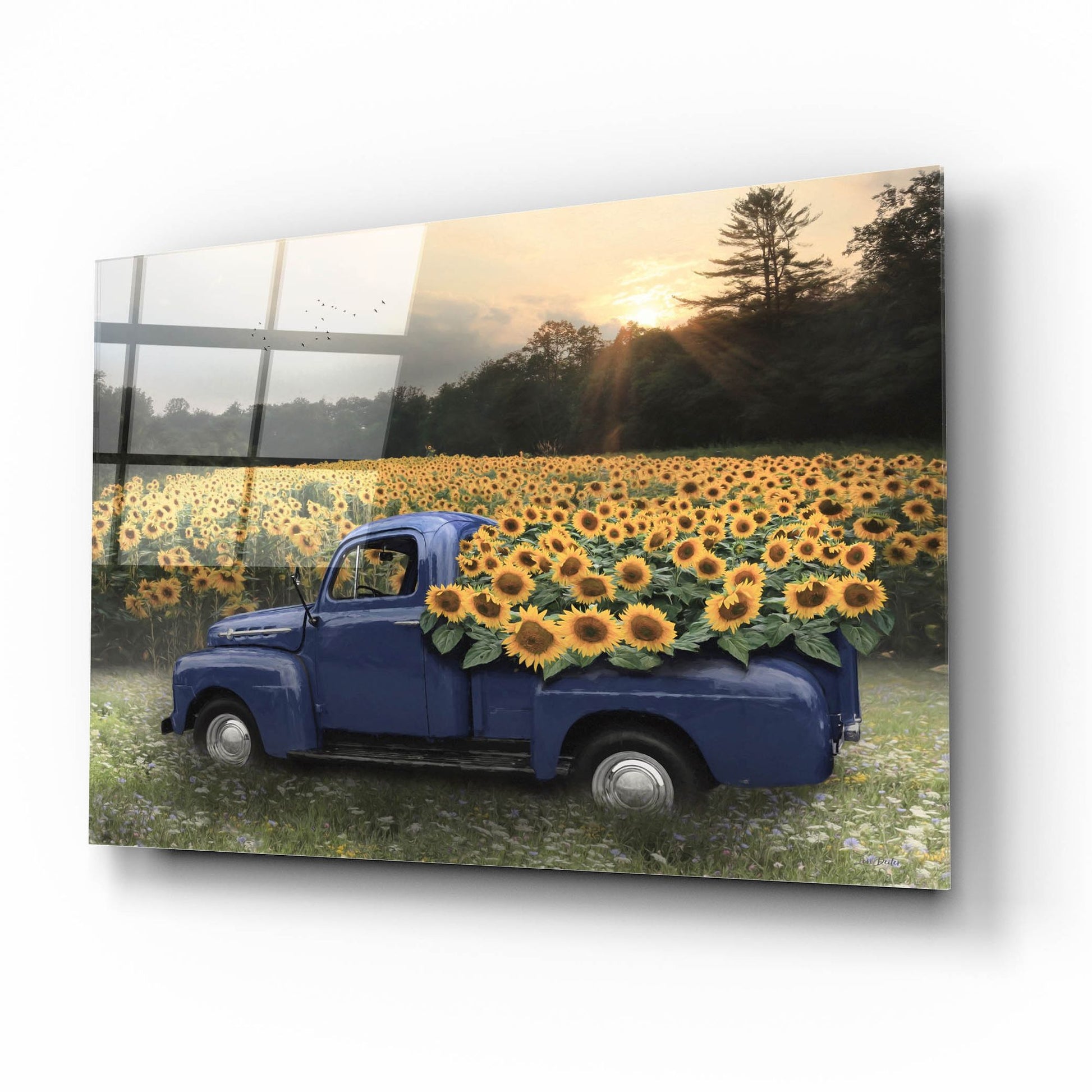 Epic Art 'Sunflower Field at Dusk' by Lori Deiter, Acrylic Glass Wall Art,16x12