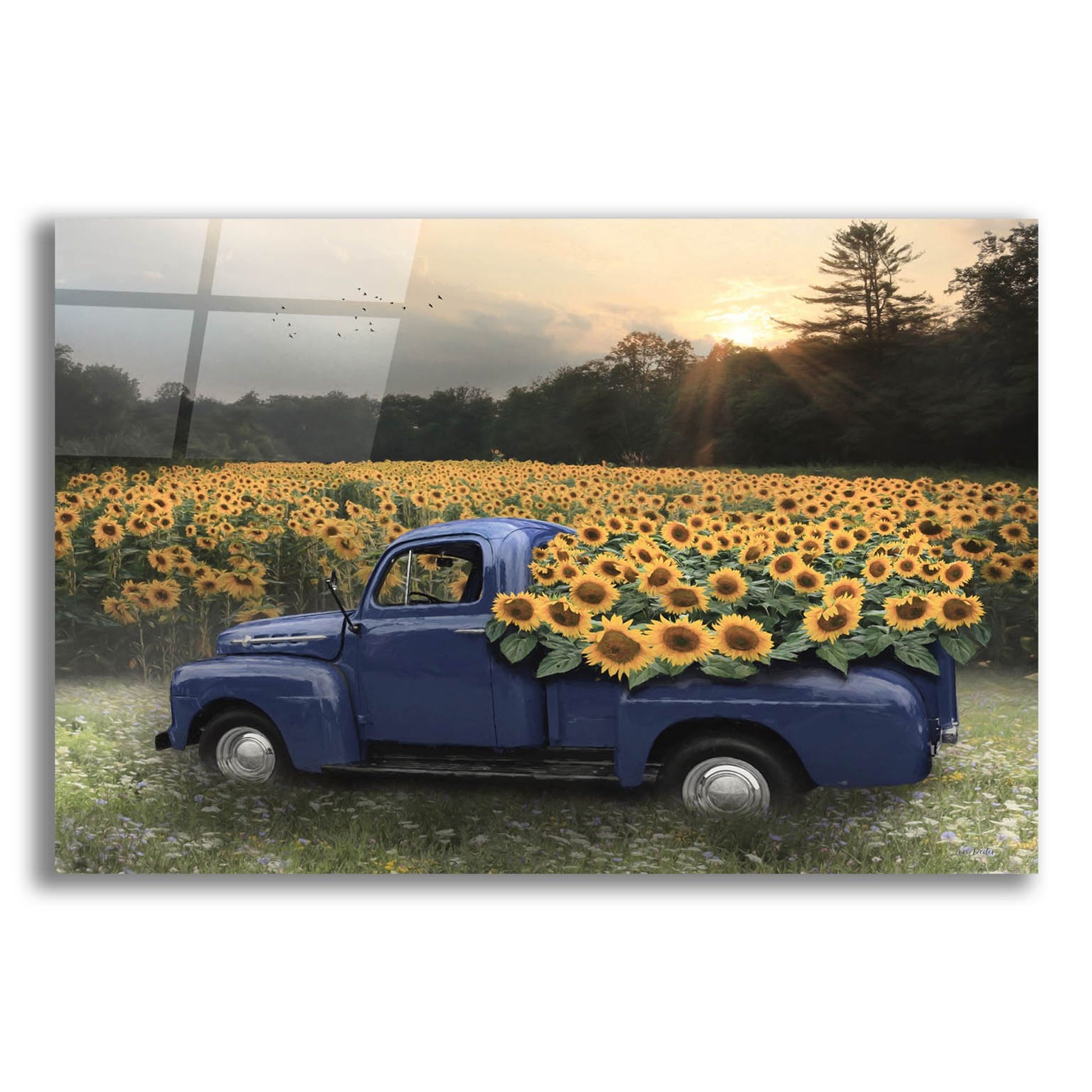 Epic Art 'Sunflower Field at Dusk' by Lori Deiter, Acrylic Glass Wall Art,24x16