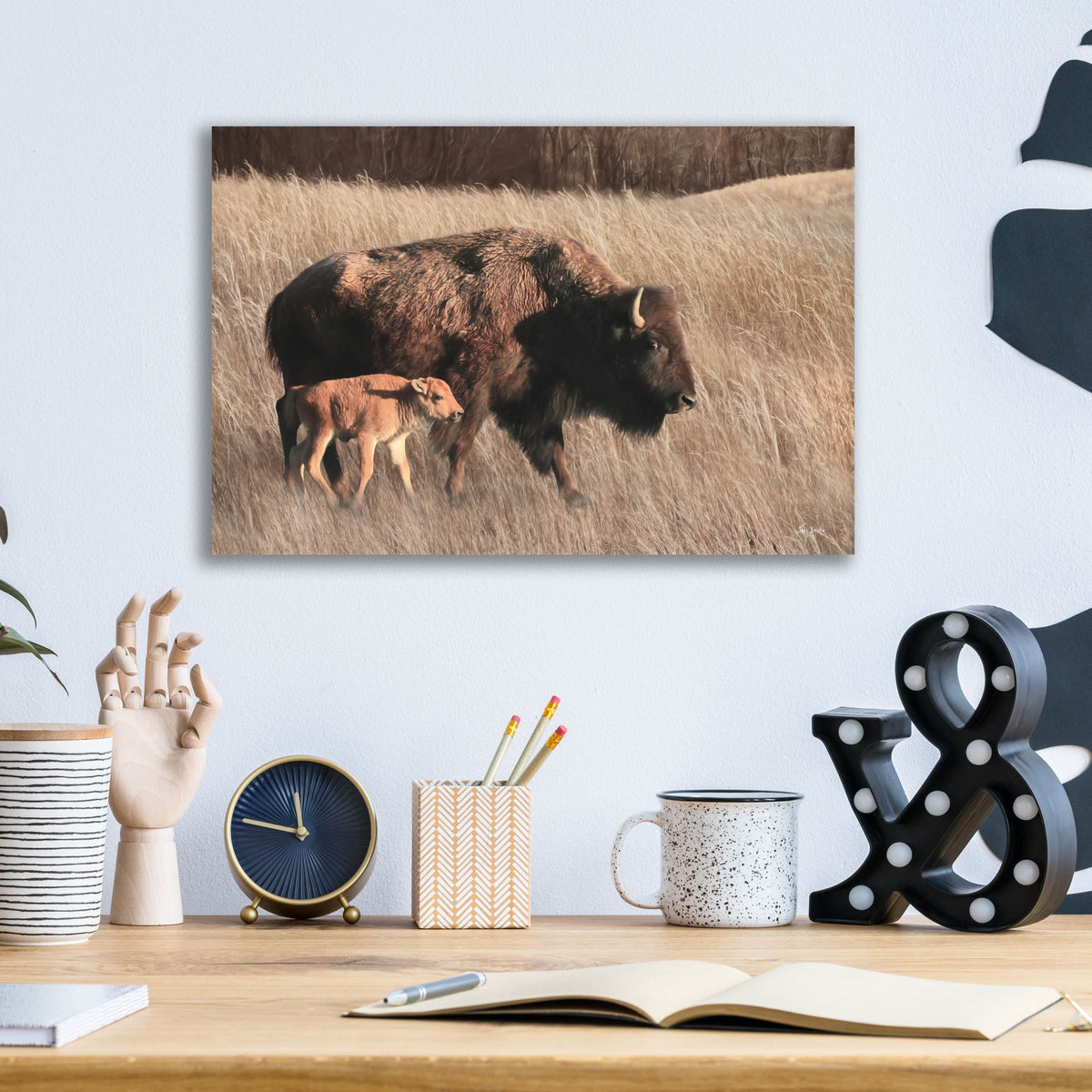 Epic Art 'Bison Mom and Baby' by Lori Deiter, Acrylic Glass Wall Art,16x12