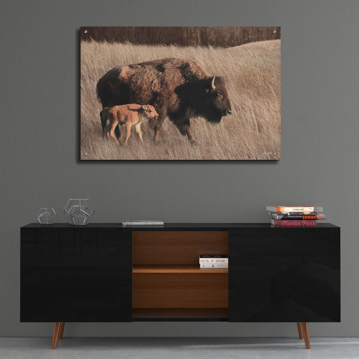 Epic Art 'Bison Mom and Baby' by Lori Deiter, Acrylic Glass Wall Art,36x24