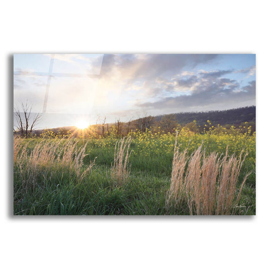 Epic Art 'Country Sunset ' by Lori Deiter, Acrylic Glass Wall Art