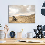 Epic Art 'Golden Coastal Sunrise  ' by Lori Deiter, Acrylic Glass Wall Art,16x12