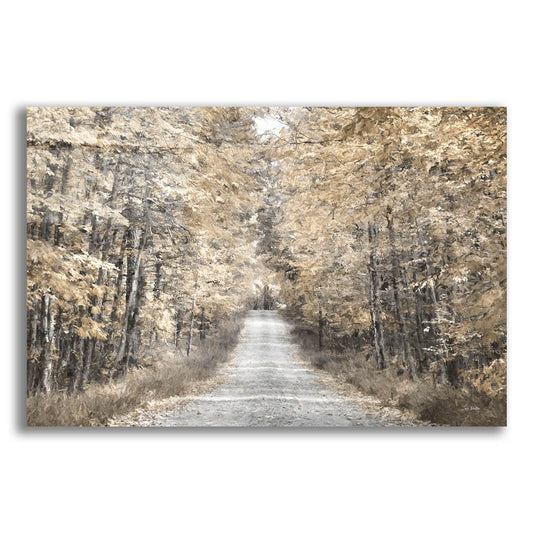 Epic Art 'The Golden Road  ' by Lori Deiter, Acrylic Glass Wall Art