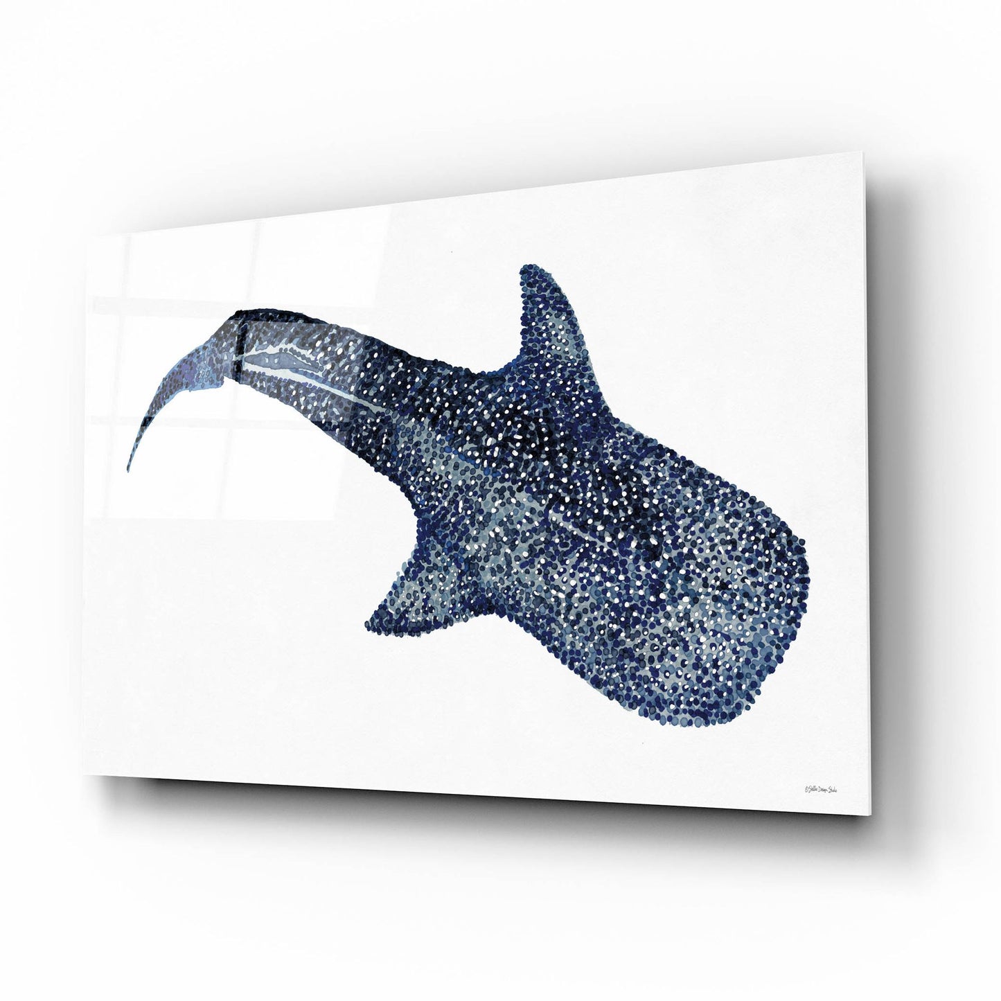 Epic Art 'Shark Whale 1' by Stellar Design Studio, Acrylic Glass Wall Art,16x12