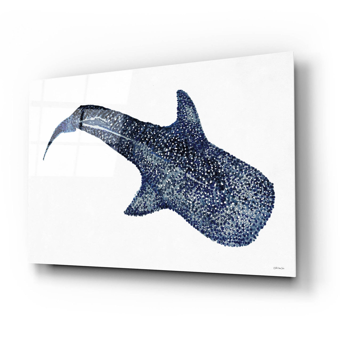 Epic Art 'Shark Whale 1' by Stellar Design Studio, Acrylic Glass Wall Art,24x16