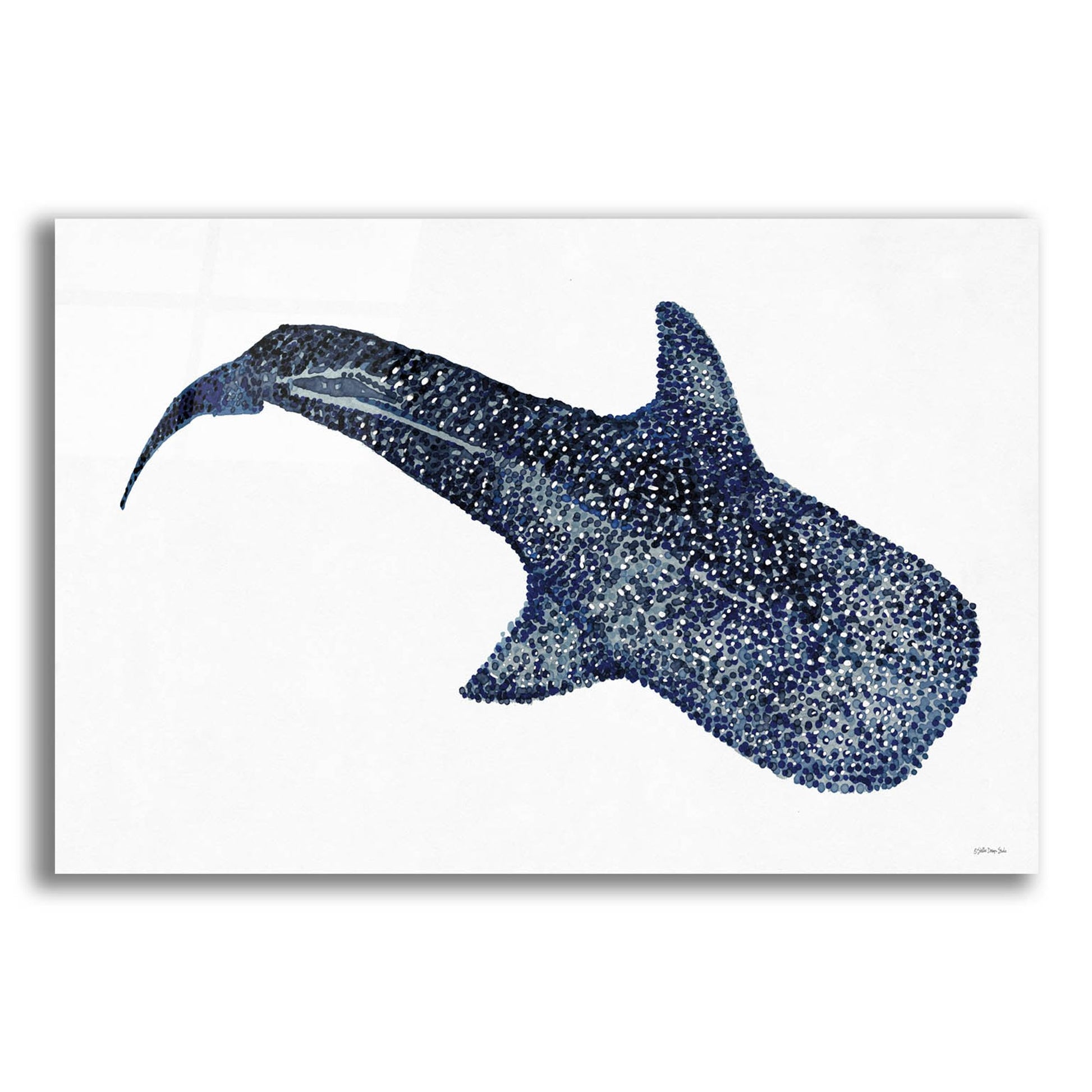 Epic Art 'Shark Whale 1' by Stellar Design Studio, Acrylic Glass Wall Art,24x16