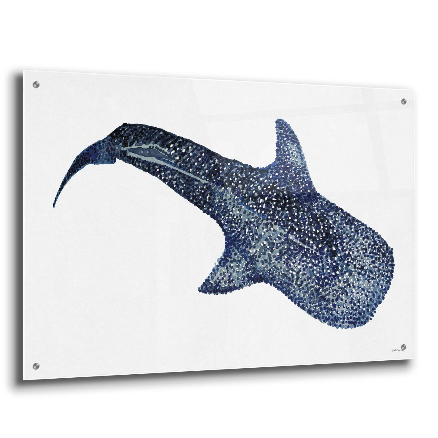 Epic Art 'Shark Whale 1' by Stellar Design Studio, Acrylic Glass Wall Art,36x24