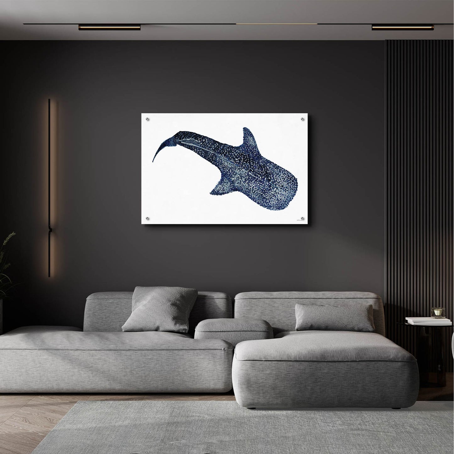 Epic Art 'Shark Whale 1' by Stellar Design Studio, Acrylic Glass Wall Art,36x24