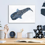Epic Art 'Shark Whale 2' by Stellar Design Studio, Acrylic Glass Wall Art,16x12