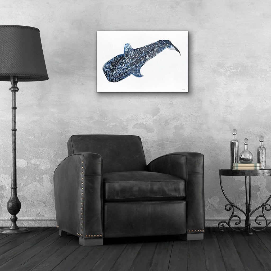 Epic Art 'Shark Whale 2' by Stellar Design Studio, Acrylic Glass Wall Art,24x16
