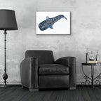 Epic Art 'Shark Whale 2' by Stellar Design Studio, Acrylic Glass Wall Art,24x16