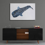 Epic Art 'Shark Whale 2' by Stellar Design Studio, Acrylic Glass Wall Art,36x24