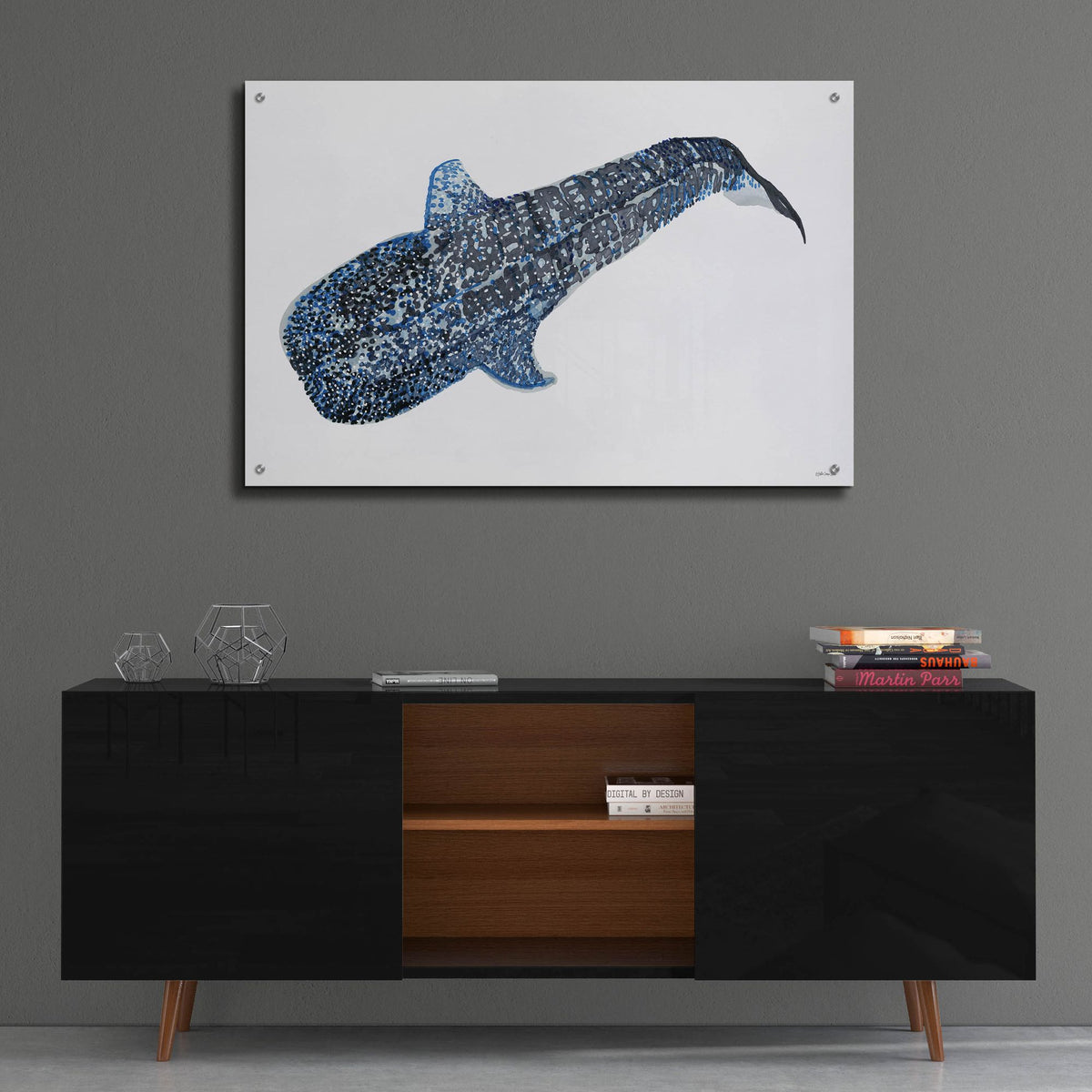 Epic Art 'Shark Whale 2' by Stellar Design Studio, Acrylic Glass Wall Art,36x24